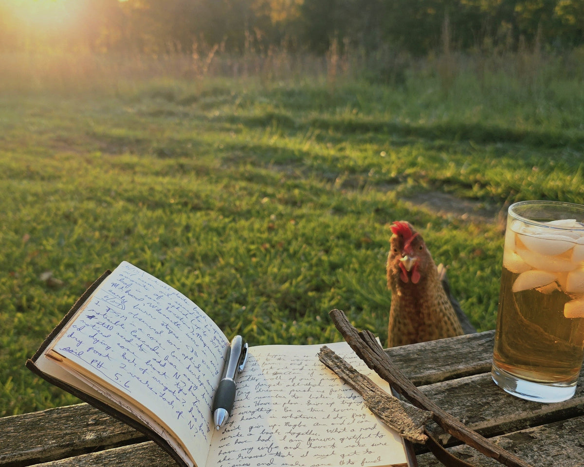 Field Notes, Recipes, and Stories